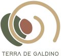 logo_web_fundotransparente_TG